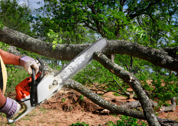 Mulching Services in Gretna, FL